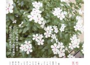 いきいきプレス2018春号のサムネイル